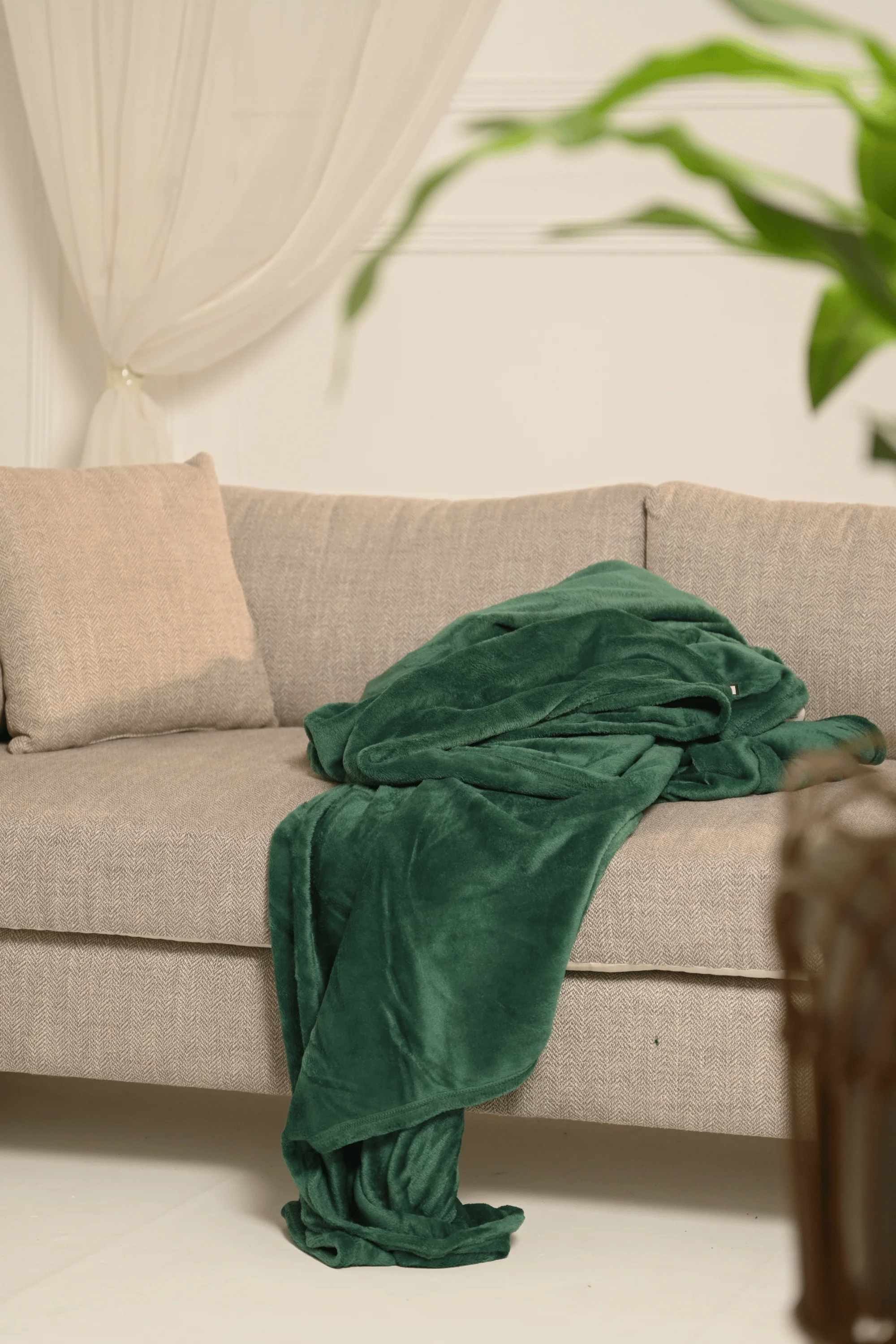 The Plush Blanket - Image 25