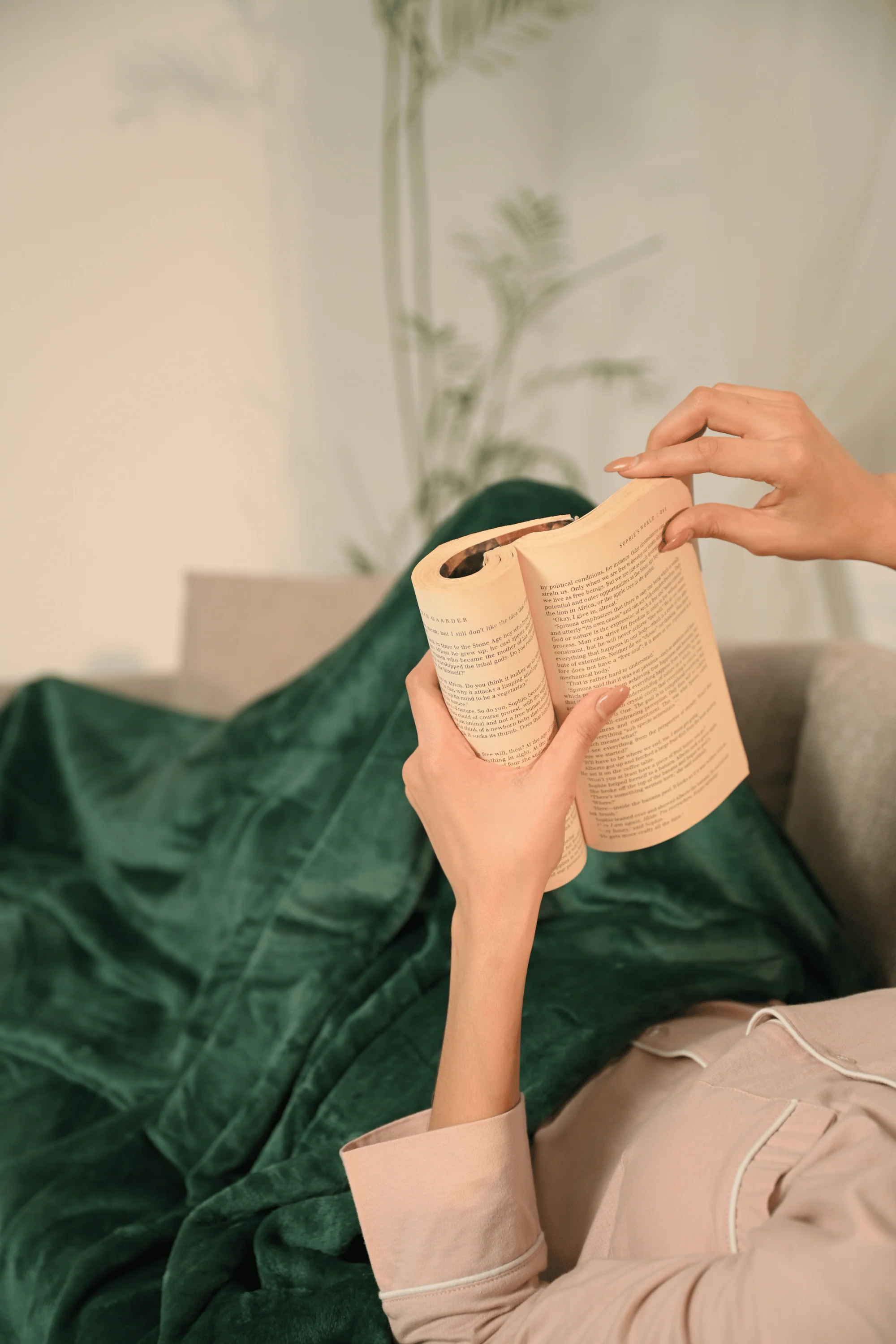 The Plush Blanket - Image 26